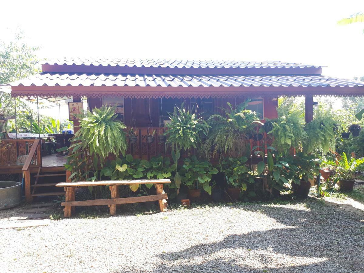 فندق Baan Bar Cafe ماي تشايم المظهر الخارجي الصورة